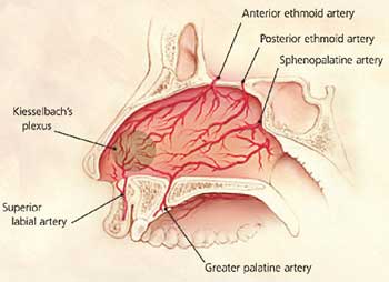 Thyroid and Parathyroid Surgery *.
