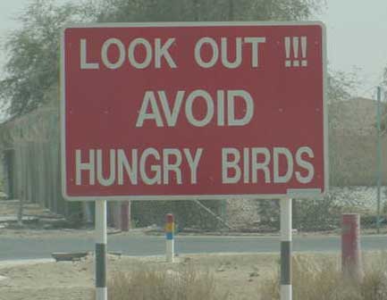 Another actual sign