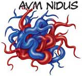 An AVM nidus