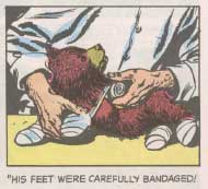 The bear cub is bandaged