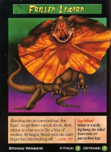 Frilled Lizard
