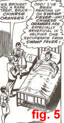 Treatment of Swamp Fever