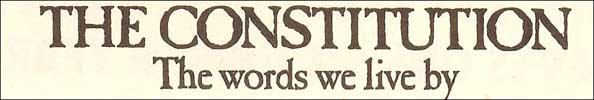 United States Constitution PSA.  Click for the full page.