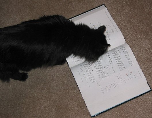 Sammy reading Biochemistry