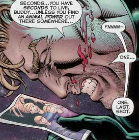 Animal Man