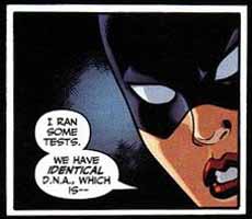 scene from Superman/Batman #24