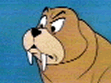 the heroic walrus, Tusky