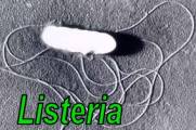 Listeria