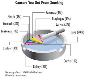 The various cancers caused by smoking