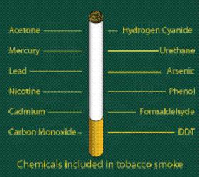 The chemicals contained in cigarettes