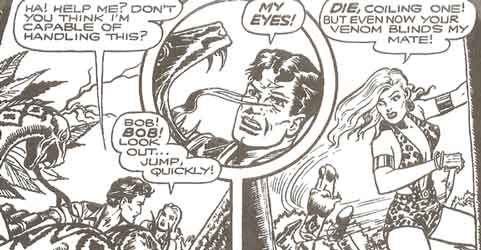 Bob gets KOd by a snake