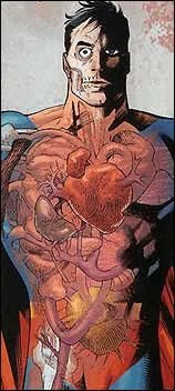 Superman's internal anatomy.  Click for the full image.