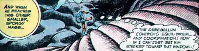 The Atom visits Batman's cerebellum
